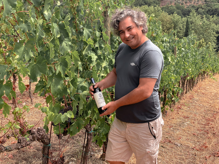 Chianti Classico