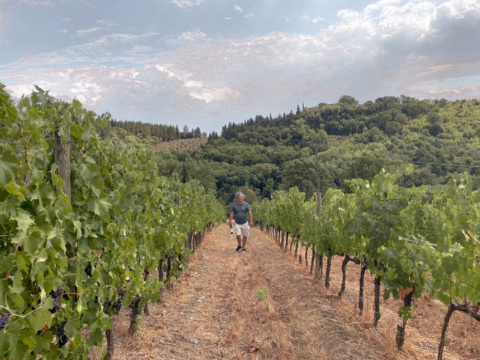 Chianti Classico