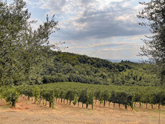Chianti Classico