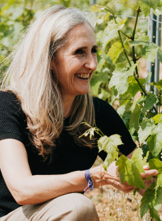 Adoptez une vigne avec Anne au Domaine Louis Moreau