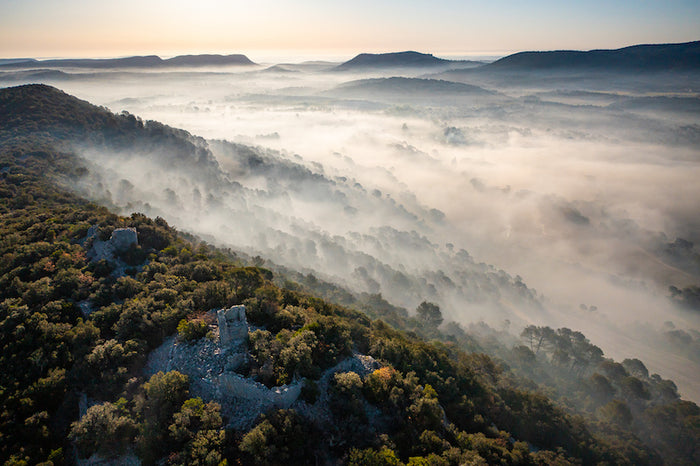 Pic Saint-Loup 2024