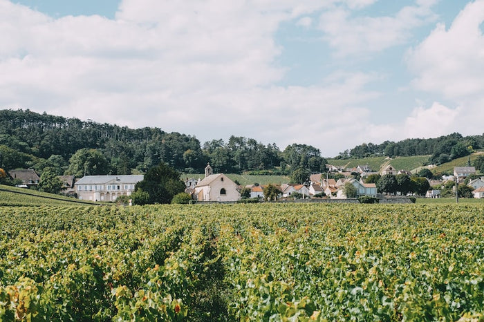 Chorey-Lès-Beaune 2023