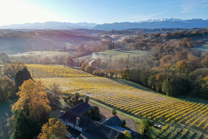 Jurançon moelleux 2022