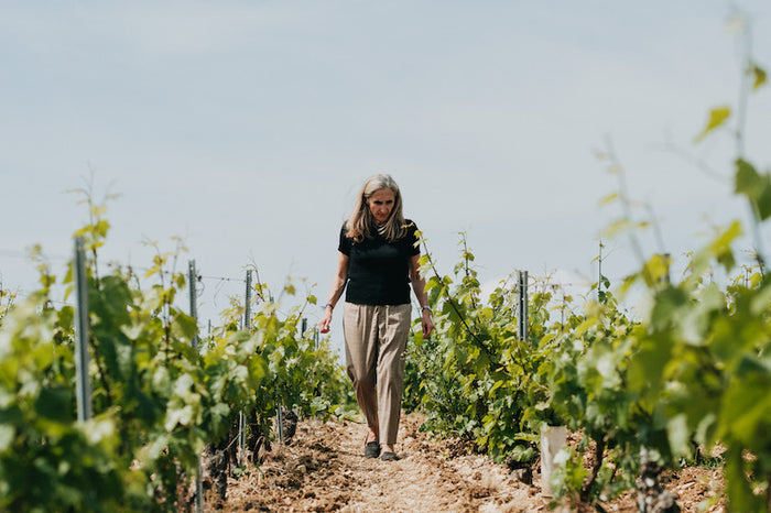 Chablis 2025