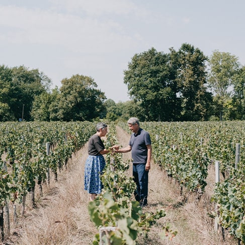 Vignobles Decaze- Saint-Emilion