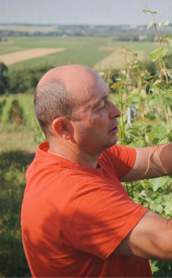 Cédric, domaine Jourdan