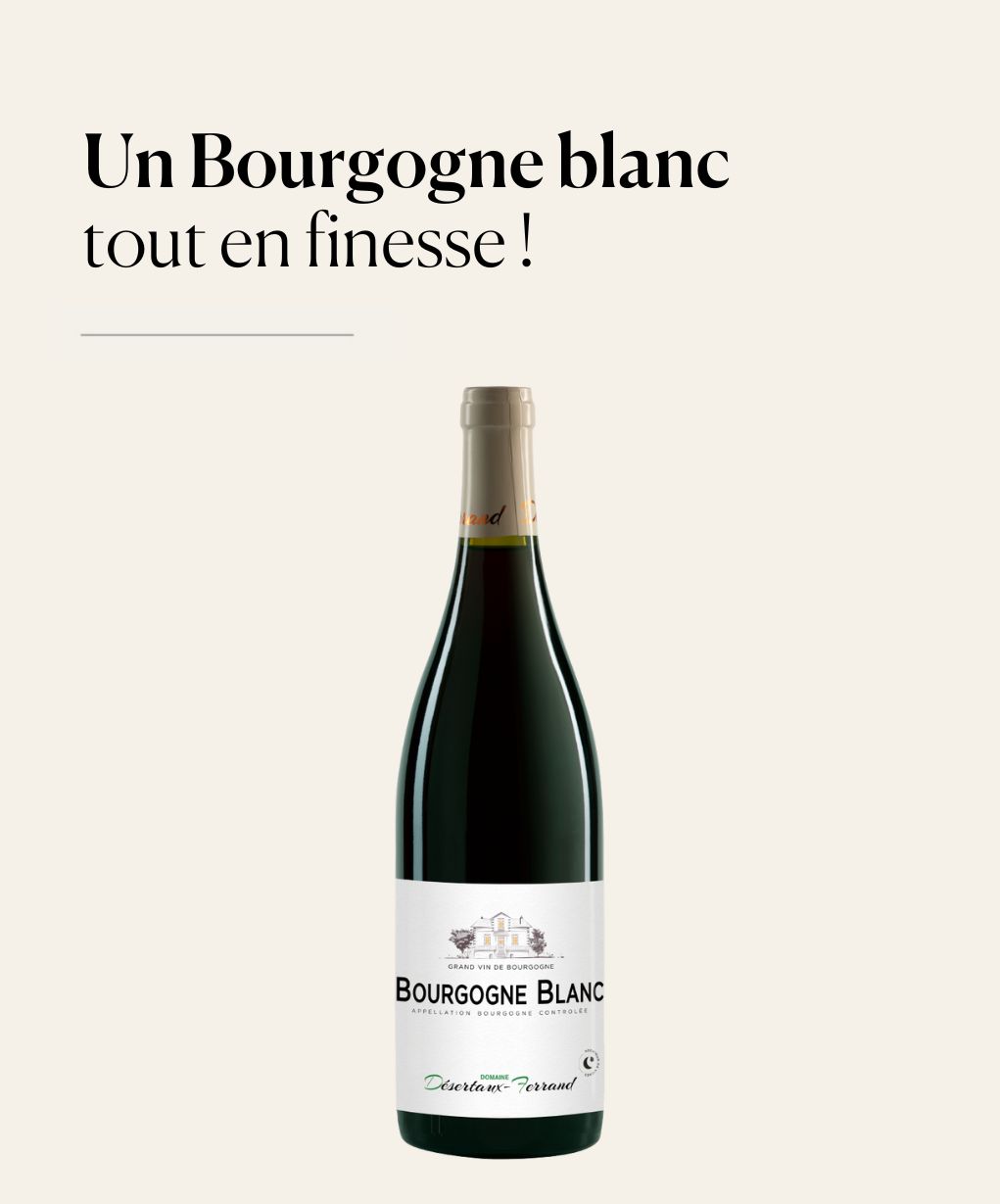 Bourgogne blanc