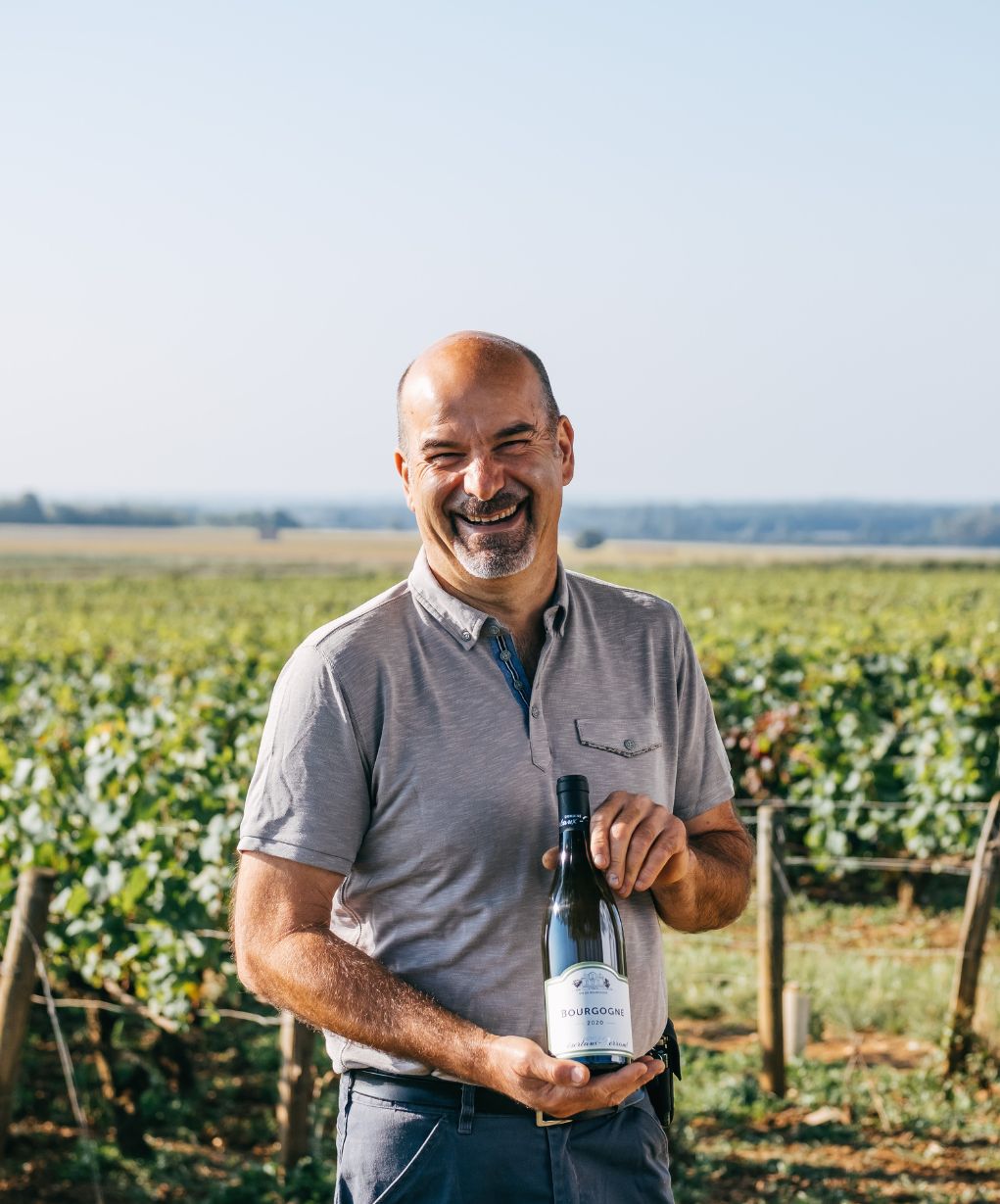 Bourgogne blanc