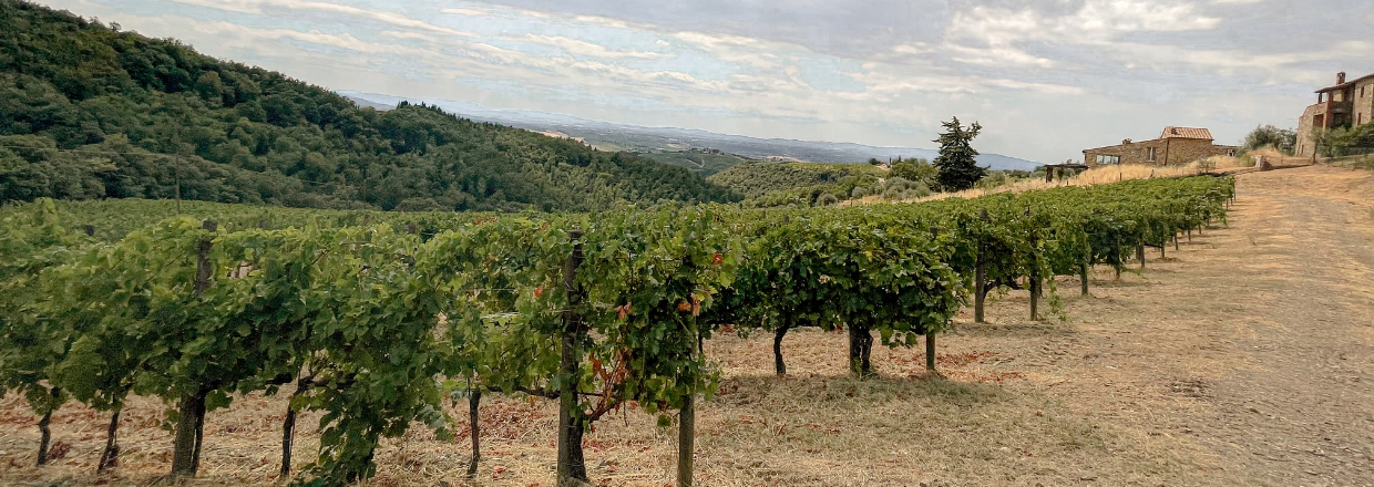 san donatino