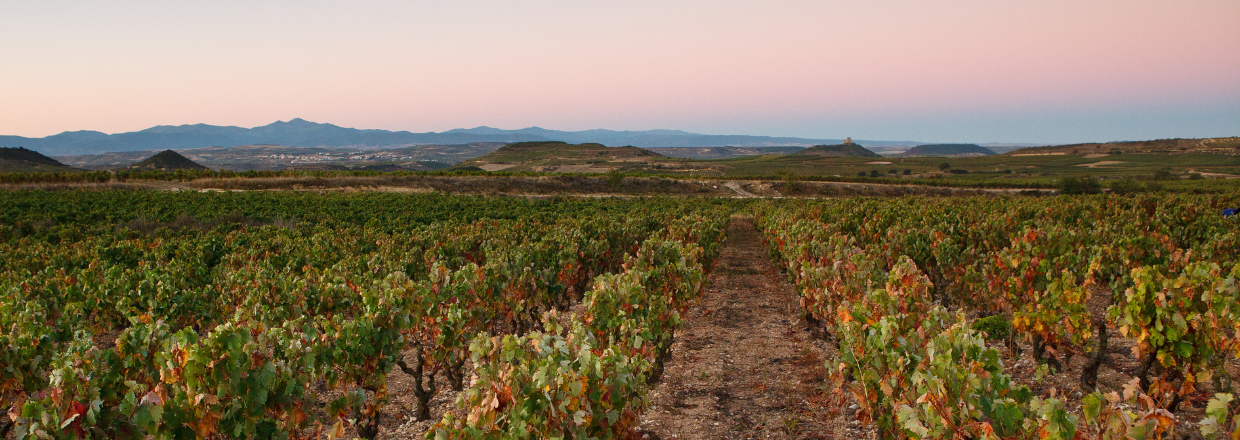Rioja 