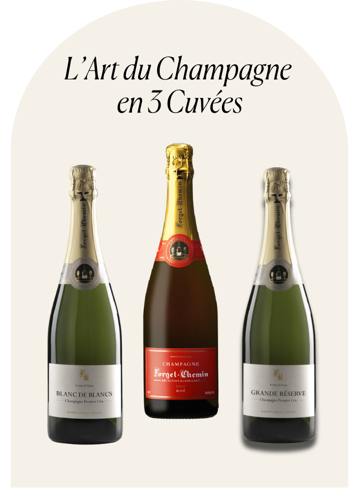 L’Art du Champagne en 3 Cuvées