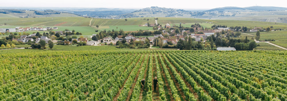 Sancerre rouge - 2025