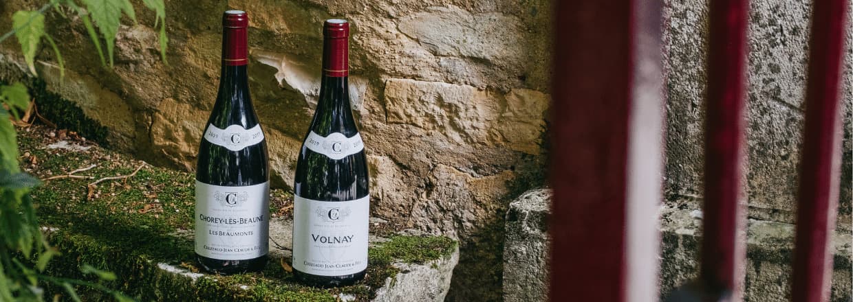Deux bouteilles de vins rouges du domaine Cluzeaud