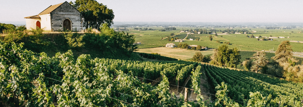 Saint-Emilion Grand Cru Classé 2021