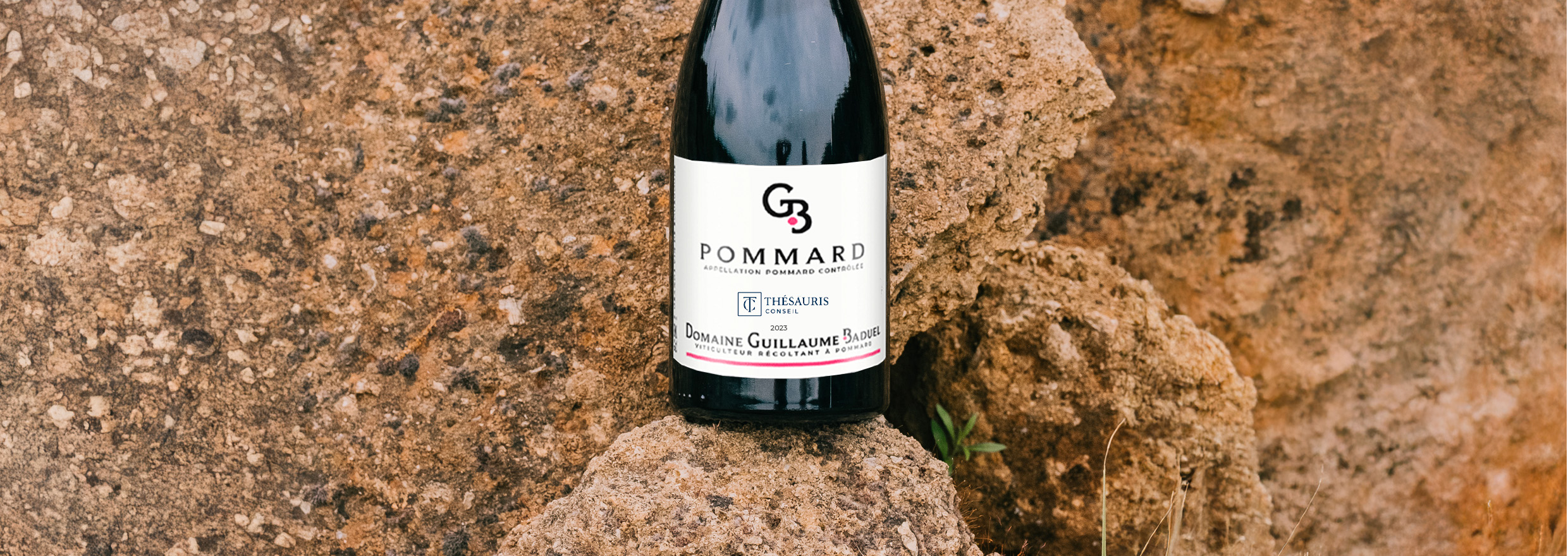 Pommard Baduel