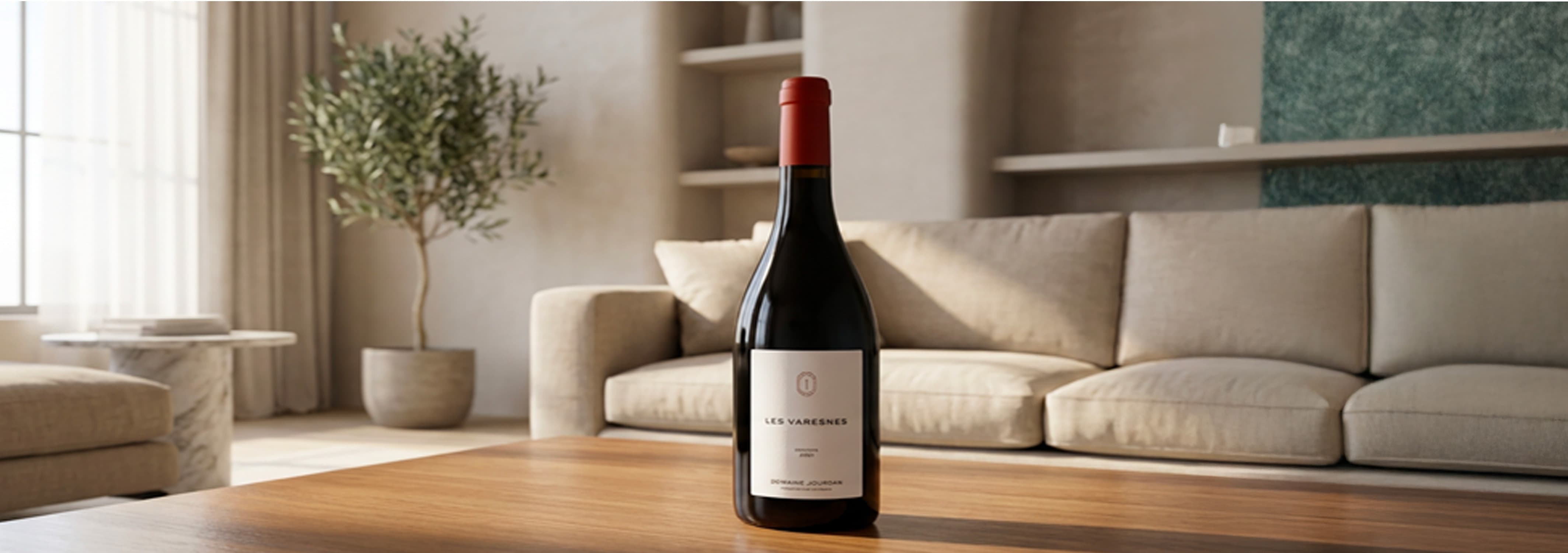 Domaine Jourdan -Chinon 