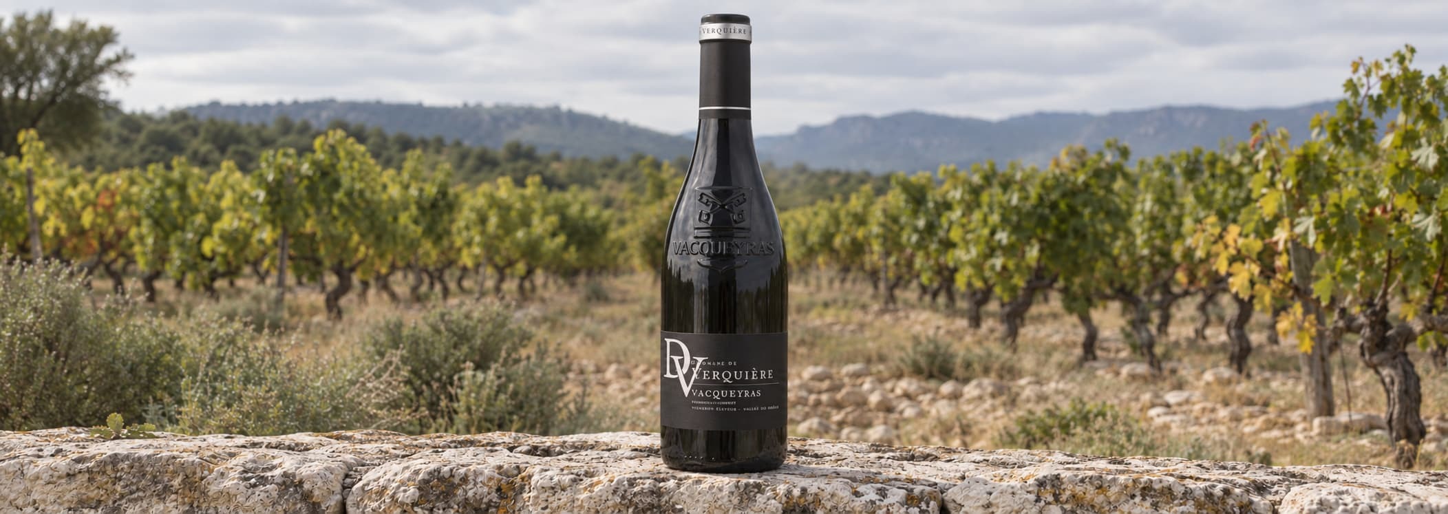 Domaine de Verquière Vacqueyras