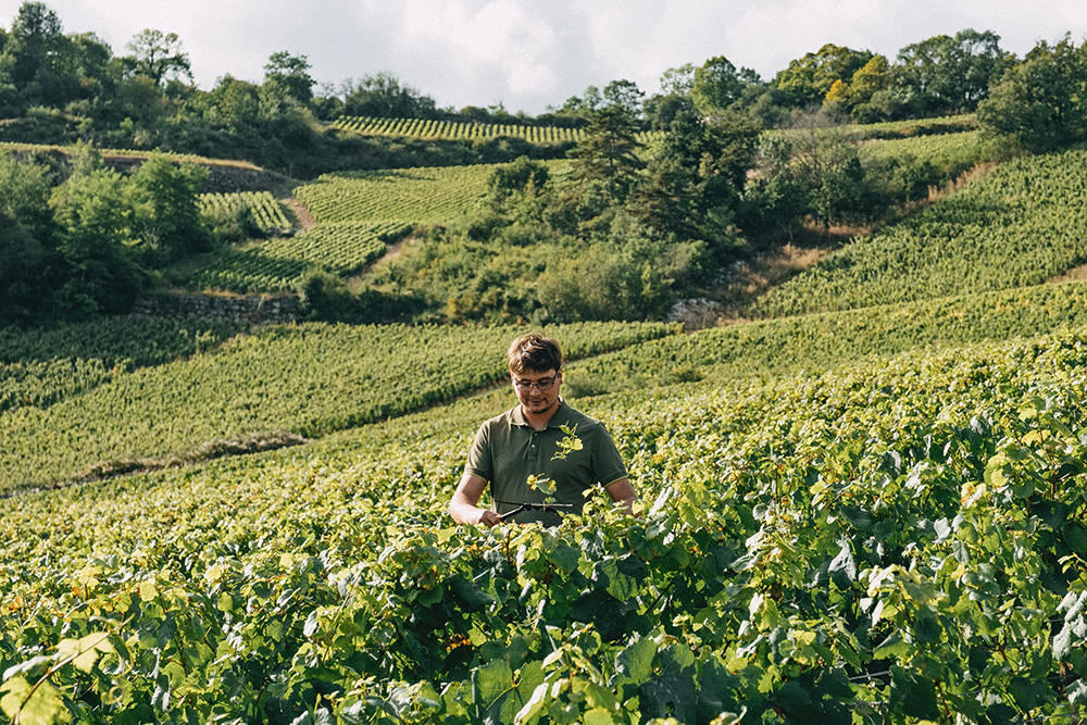 Domaine Barolet-Pernot