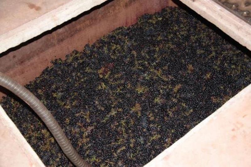 vinification beaujolaise