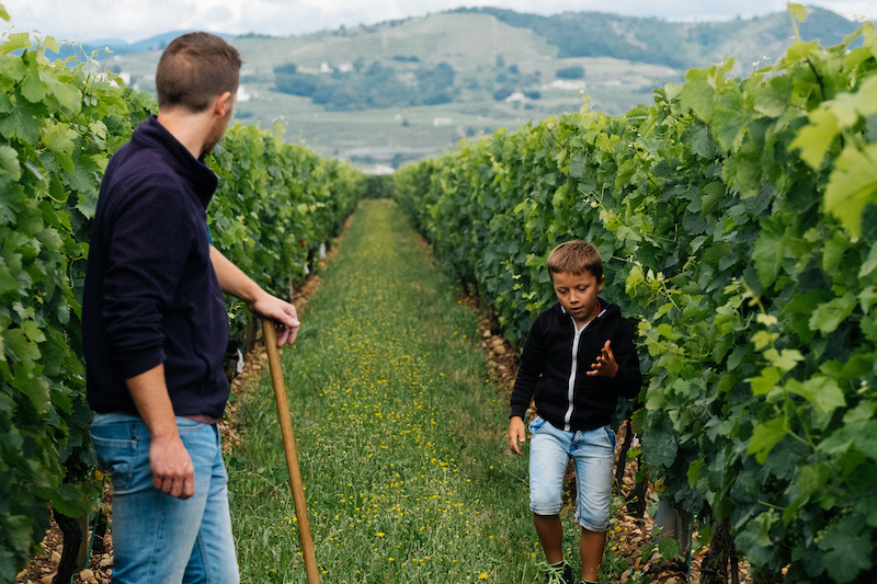 pere et fils vigneron