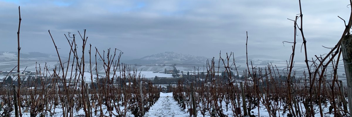 appellation sancerre