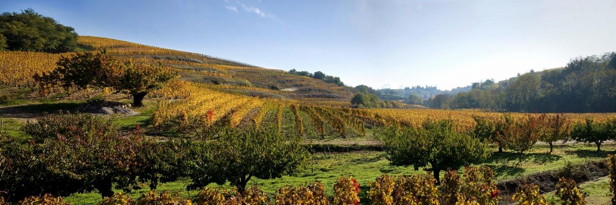 panorama-crozes-hermitage
