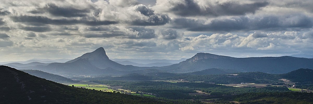 Le Pic saint loup