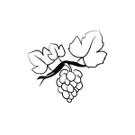 L'adoption de vignes